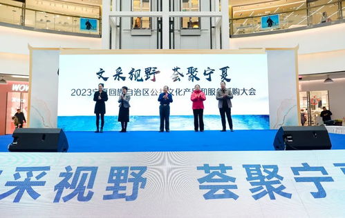 科技中介服務賦能公共文化新未來 2023寧夏公共文化產品和服務采購大會在銀川成功舉辦